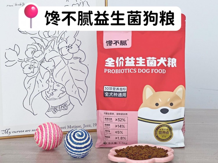 柴犬好养吗看看这些优缺点不要养了才后悔！