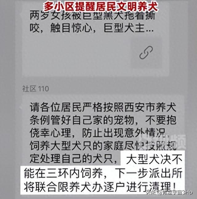 西安一小区将逐户清理禁养犬中华田园犬阿拉斯加等在列