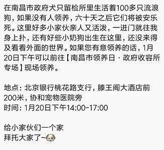 紧急扩散！南昌100多只流浪狗待领养60天后将被安乐死……