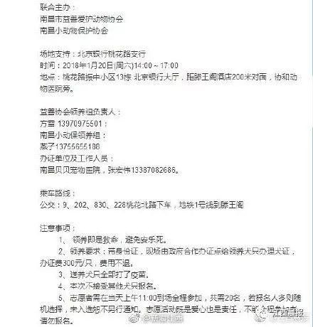 紧急扩散！南昌100多只流浪狗待领养60天后将被安乐死……