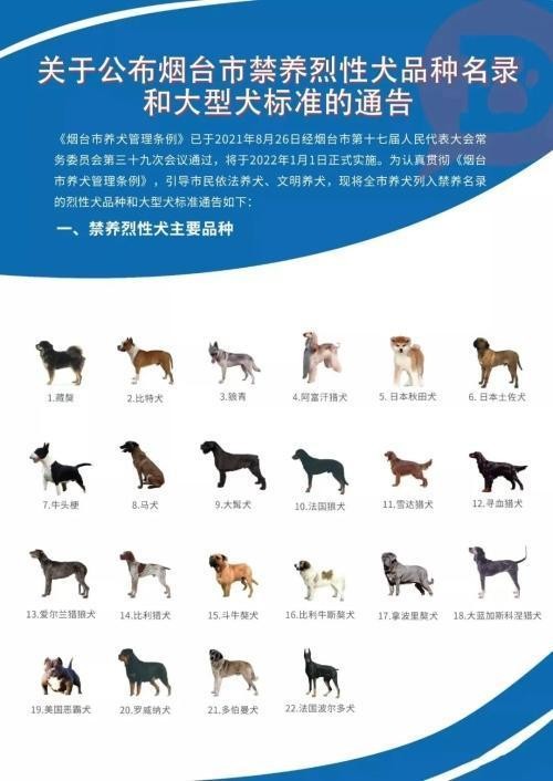 @烟台高新人您的爱犬可以挂牌登记了