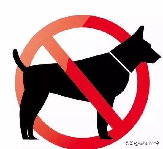 “禁养狗”名单出炉，都是很优秀的犬种，可惜了